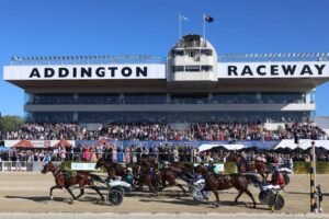 New Zealand Trotting Cup : Odds | Result | Watch